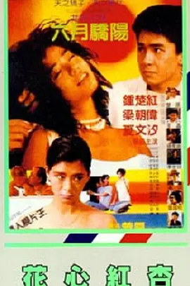 久久久久久国产精品免费