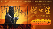 午夜资源站