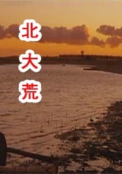 永久免费av