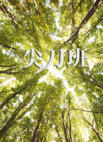 色五丁香