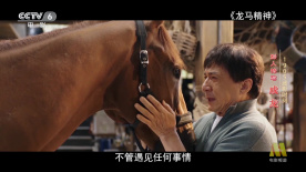 贫乳守护骑士
